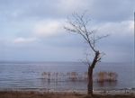 Альбом «Македония», фотокартина 4